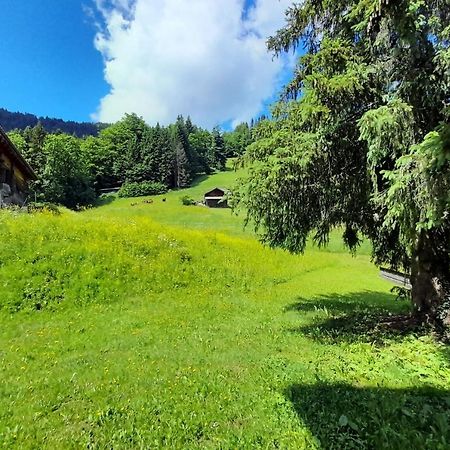 Apartment On The Slopes Ла-Клюсаз Экстерьер фото